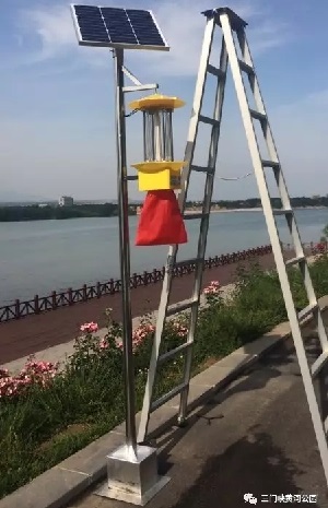 太陽能殺蟲燈
