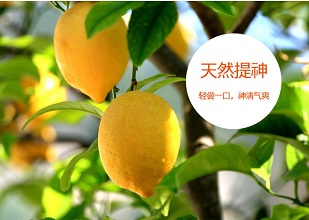 經(jīng)過(guò)太陽(yáng)能殺蟲燈防治后的檸檬
